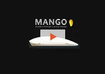 MANGO - Wireless Remote Control Equipment